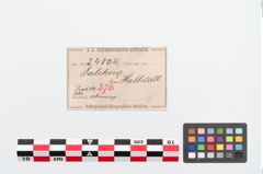 Etiketten zu Bronzearmreif (NHMW-PRAE-024804)